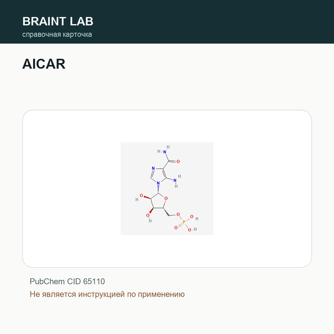 Справочная карточка AICAR